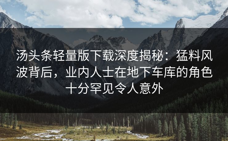 汤头条轻量版下载深度揭秘:猛料风波背后,业内人士在地下车库的角色十分罕见令人意外 汤头条轻量版下载深度揭秘:猛料风波背后,业内人士在地下车库的角色十分罕见令人意外